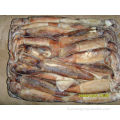 BQF de haute qualité Frozen Argentine illex Squid Loligo